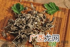艾草是哪个季节的？艾草是什么季节采摘？