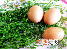 三月三吃什么煮蛋？三月三用什么煮鸡蛋？
