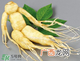 春天能吃高丽参吗？春天可以喝高丽参汤吗？