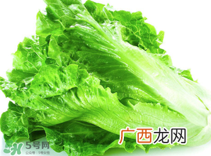 春天能种生菜吗？生菜春天可以种吗？