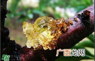 吃什么对皮肤好？怎么吃皮肤好？