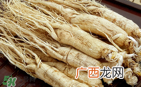 春天可以吃人参吗？春季能进补人参吗？