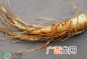 春天可以吃人参吗？春季能进补人参吗？