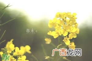 初夏养生 初夏养生小常识