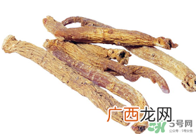 三月份能种什么药材？春天种什么药材？