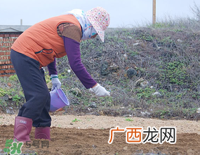 三月份可以种花生吗？花生几月份播种比较好？