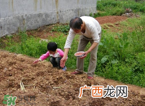 三月份可以种花生吗？花生几月份播种比较好？