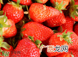 四月份还有草莓吗？4月份还有草莓吗？