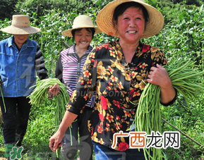 三月份可以种豆角吗？豆角几月份种？