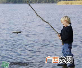 3月份钓什么鱼？3月份怎么钓鱼？