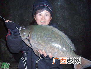 3月份钓鱼用什么饵料？三月份钓鱼用什么鱼饵？