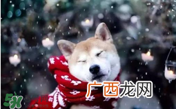 3月份还有冷空气吗？什么时候冷空气结束？