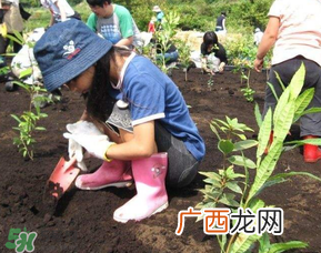 ?3月份可以种什么??3月份可以种什么果树?