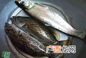 ?3月份可以钓翘嘴吗？翘嘴几月份好钓？