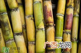 3月份能吃甘蔗吗？三月份的甘蔗能吃吗？