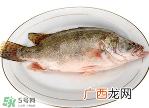 三月份吃什么鱼？3月份吃什么鱼好？