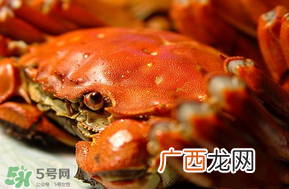 三月份吃什么螃蟹？3月份吃什么螃蟹？