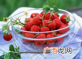 三月份有草莓吗？三月份的草莓可以吃吗？