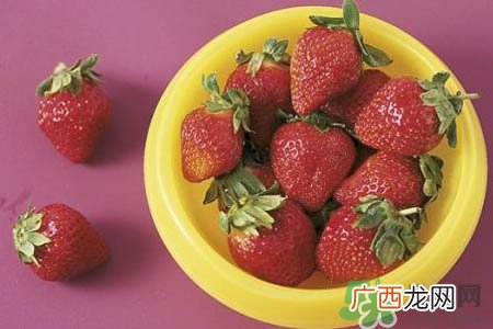 阳台上怎么种草莓？如何在阳台上种草莓？