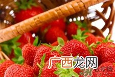 阳台上怎么种草莓？如何在阳台上种草莓？