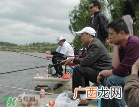 惊蛰过后好钓鱼吗？惊蛰后阴雨天好钓鱼吗？