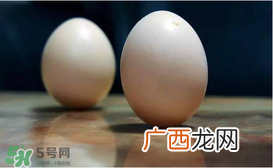 春分为什么能竖蛋？春分竖蛋原理