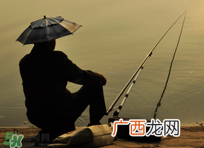 惊蛰能钓鱼吗？惊蛰钓什么鱼好？