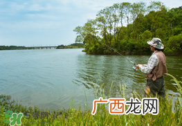 惊蛰能钓鱼吗？惊蛰钓什么鱼好？