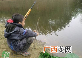 惊蛰能钓鱼吗？惊蛰钓什么鱼好？