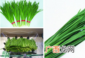 惊蛰前后可以种什么？惊蛰前后种什么蔬菜？