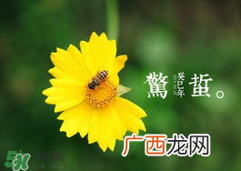 惊蛰前后可以种什么？惊蛰前后种什么蔬菜？