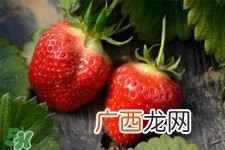 四月份可以种草莓吗？四月份种草莓能结果吗？