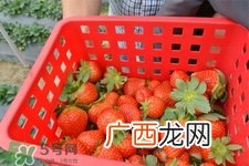 四月份可以种草莓吗？四月份种草莓能结果吗？