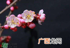 春分会下雨吗？春分节气下雨好还是不好？