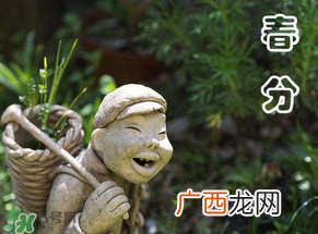 春分会下雨吗？春分节气下雨好还是不好？