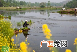 惊蛰前后好钓鱼吗？惊蛰前后钓鱼技巧