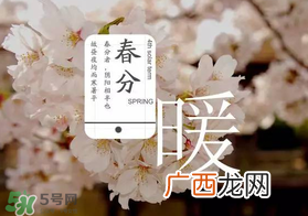 春分种什么菜？春分适合种什么菜？