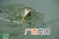 三月份可以钓鱼了吗？三月份好钓鱼吗？