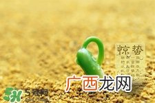 惊蛰如何养生？惊蛰前后如何养生？