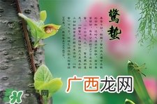 惊蛰如何养生？惊蛰前后如何养生？