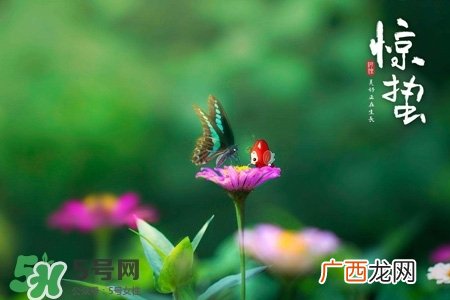 惊蛰如何养生？惊蛰前后如何养生？