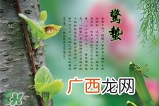 惊蛰节气要注意什么?惊蛰节气养生注意事项