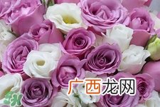 4月份适合种什么花？四月份种什么花好？
