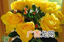 4月份适合种什么花？四月份种什么花好？