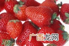 3月份可以摘草莓吗？三月份有草莓可以摘吗？