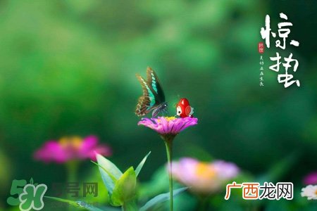 惊蛰是什么意思？惊蜇是什么节气？