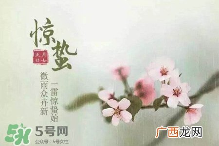 惊蛰是什么意思？惊蜇是什么节气？