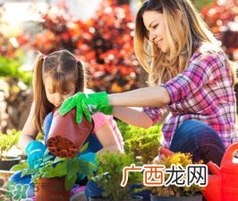 3月份适合种什么花？3月份种什么花？