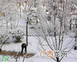 春天下雪意味着什么?春天为什么会下雪?