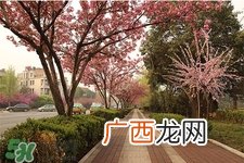 如何预防倒春寒？怎么预防倒春寒？
